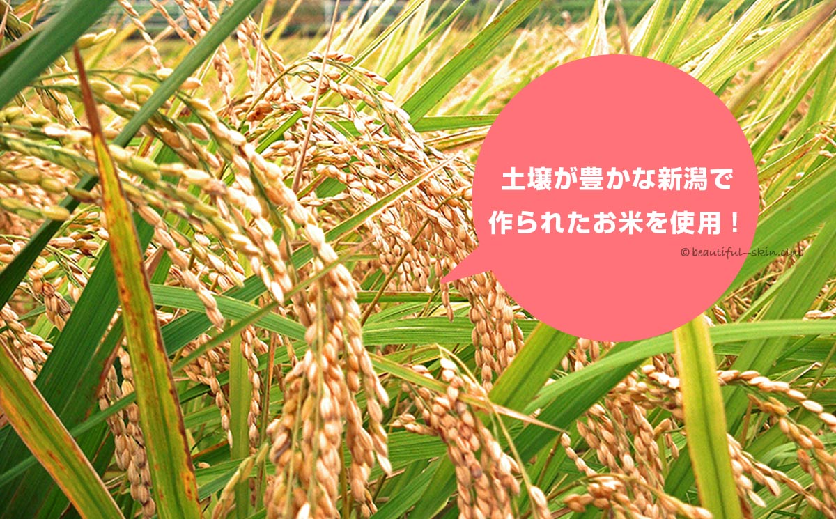リプロスキンの「米ぬかエキス」は、土壌が豊かな新潟で作られたお米を使用